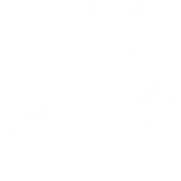 Prompt & Reliable Service